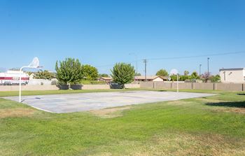 Basketball court